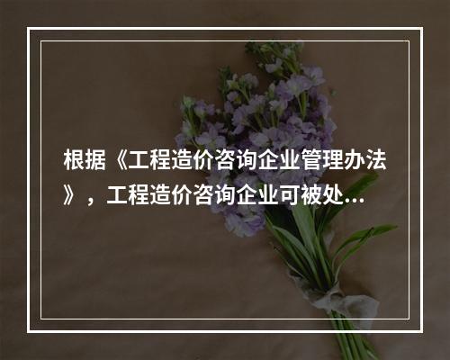 根据《工程造价咨询企业管理办法》，工程造价咨询企业可被处以1