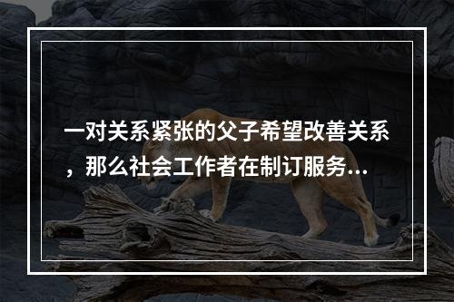 一对关系紧张的父子希望改善关系，那么社会工作者在制订服务计划