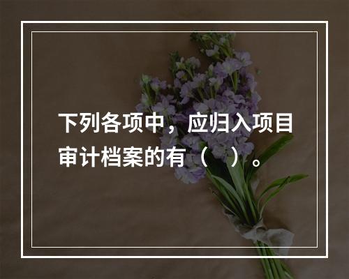 下列各项中，应归入项目审计档案的有（　）。