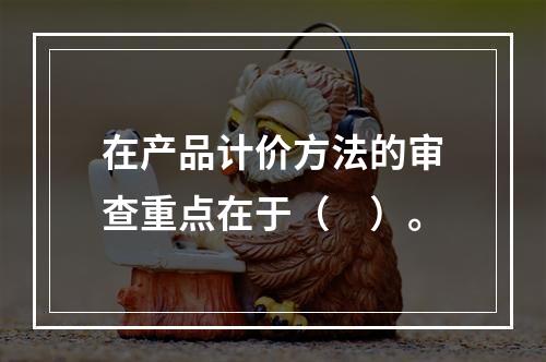 在产品计价方法的审查重点在于（　）。