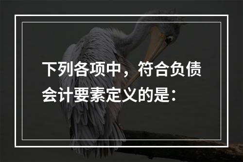 下列各项中，符合负债会计要素定义的是：