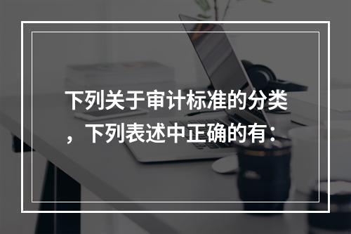 下列关于审计标准的分类，下列表述中正确的有：