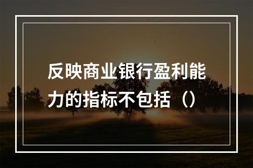 反映商业银行盈利能力的指标不包括（）