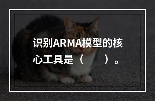 识别ARMA模型的核心工具是（　　）。