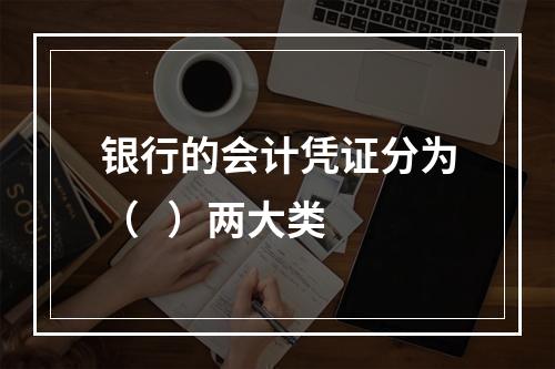 银行的会计凭证分为（   ）两大类