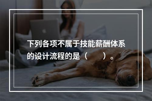 下列各项不属于技能薪酬体系的设计流程的是（　　）。