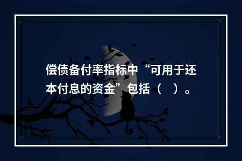 偿债备付率指标中“可用于还本付息的资金”包括（　）。