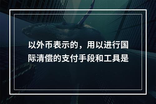 以外币表示的，用以进行国际清偿的支付手段和工具是