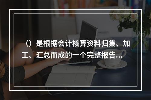 （）是根据会计核算资料归集、加工、汇总而成的一个完整报告体系