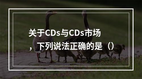 关于CDs与CDs市场，下列说法正确的是（）