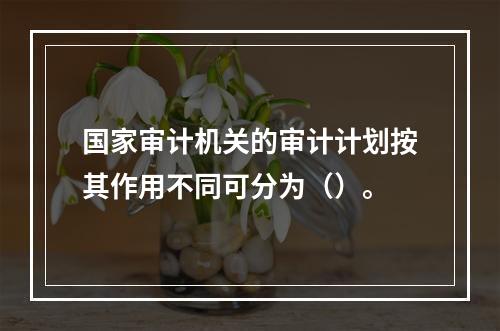 国家审计机关的审计计划按其作用不同可分为（）。