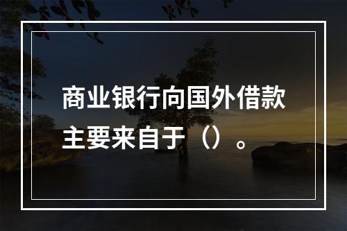 商业银行向国外借款主要来自于（）。