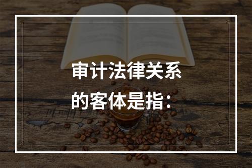 审计法律关系的客体是指：