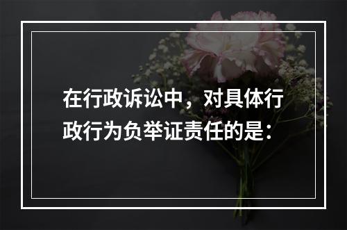 在行政诉讼中，对具体行政行为负举证责任的是：