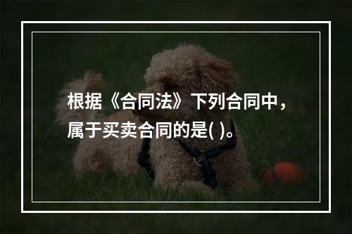 根据《合同法》下列合同中，属于买卖合同的是( )。