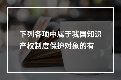 下列各项中属于我国知识产权制度保护对象的有