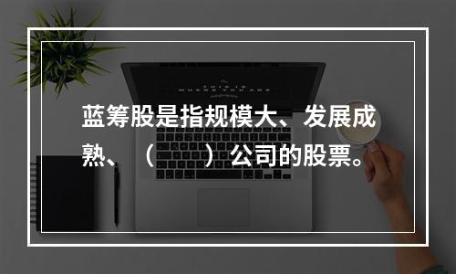 蓝筹股是指规模大、发展成熟、（　　）公司的股票。