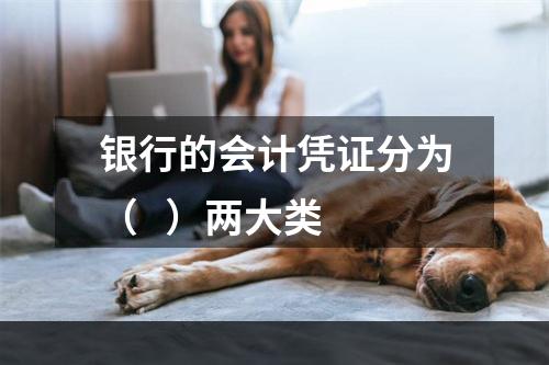 银行的会计凭证分为（   ）两大类