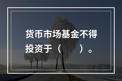 货币市场基金不得投资于（　　）。