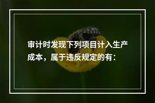 审计时发现下列项目计入生产成本，属于违反规定的有：