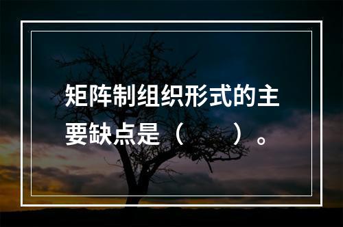 矩阵制组织形式的主要缺点是（　　）。