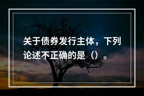 关于债券发行主体，下列论述不正确的是（）。