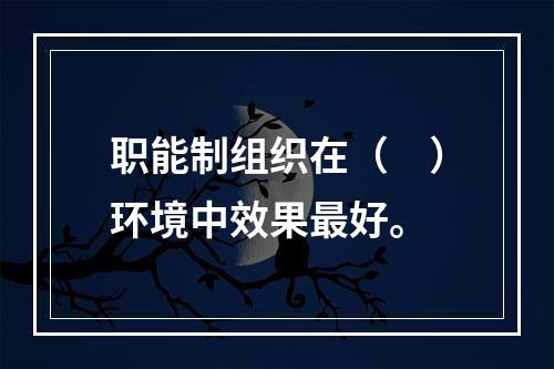 职能制组织在（　）环境中效果最好。