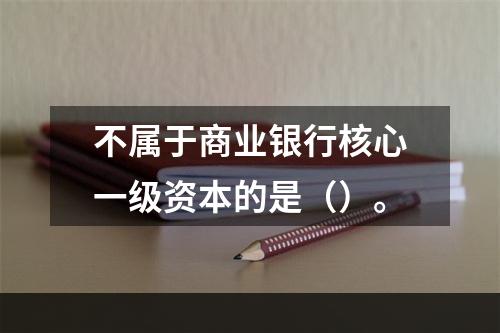 不属于商业银行核心一级资本的是（）。