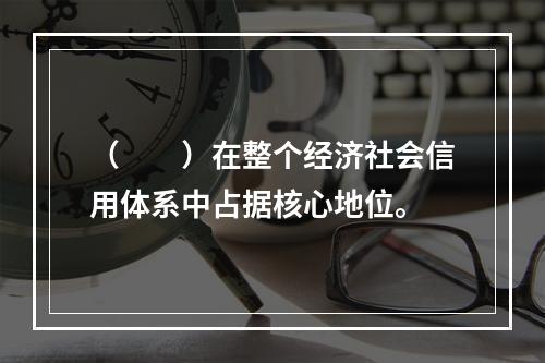 （　　）在整个经济社会信用体系中占据核心地位。