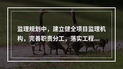 监理规划中，建立健全项目监理机构，完善职责分工，落实工程造