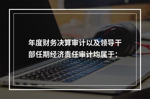 年度财务决算审计以及领导干部任期经济责任审计均属于：