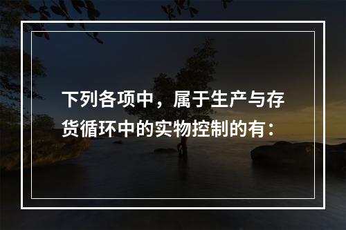 下列各项中，属于生产与存货循环中的实物控制的有：