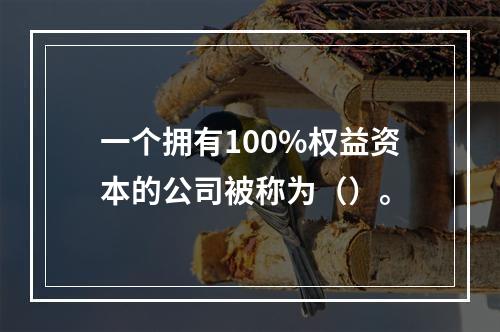 一个拥有100%权益资本的公司被称为（）。