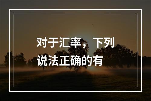 对于汇率，下列说法正确的有