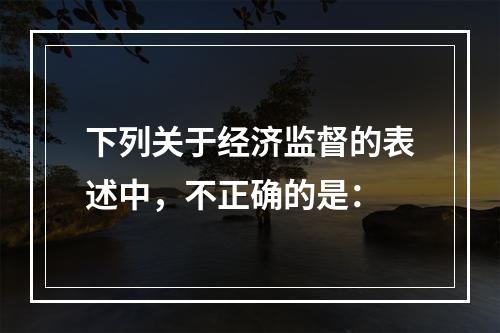 下列关于经济监督的表述中，不正确的是：