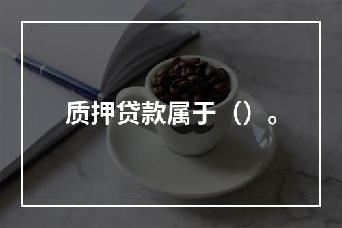 质押贷款属于（）。