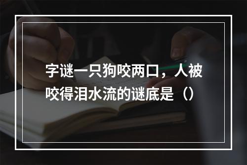 字谜一只狗咬两口，人被咬得泪水流的谜底是（）