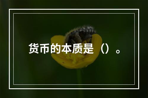 货币的本质是（）。