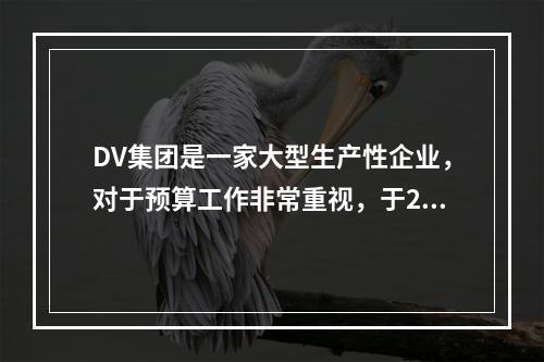 DV集团是一家大型生产性企业，对于预算工作非常重视，于201