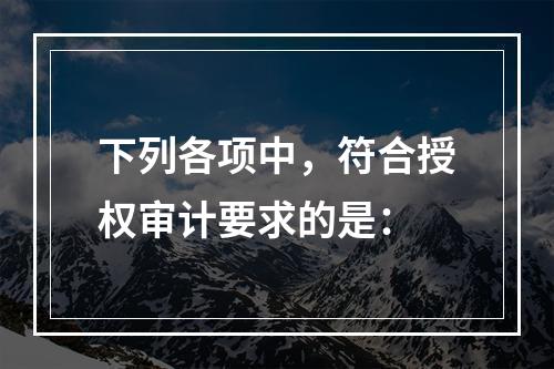 下列各项中，符合授权审计要求的是：