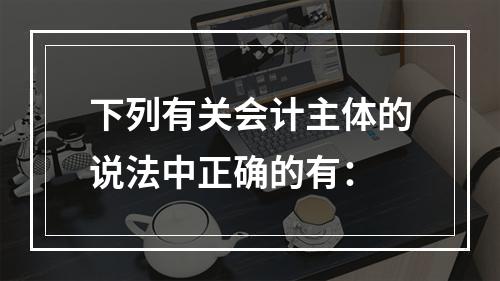 下列有关会计主体的说法中正确的有：