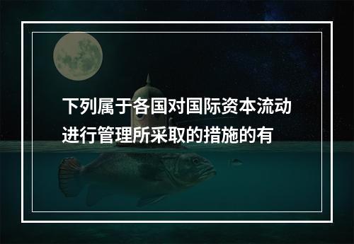 下列属于各国对国际资本流动进行管理所采取的措施的有