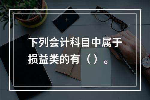 下列会计科目中属于损益类的有（ ）。