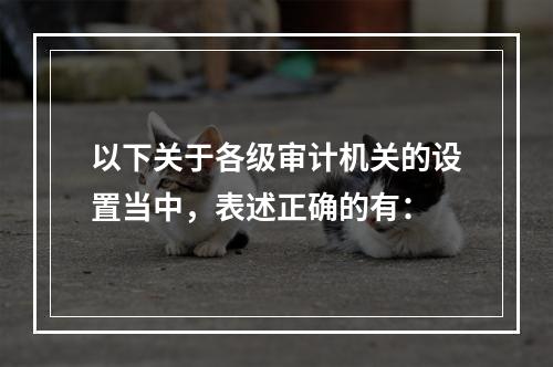 以下关于各级审计机关的设置当中，表述正确的有：