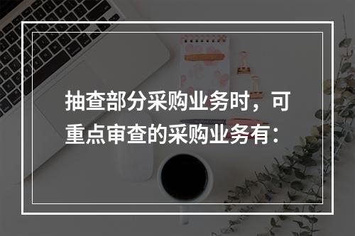 抽查部分采购业务时，可重点审查的采购业务有：