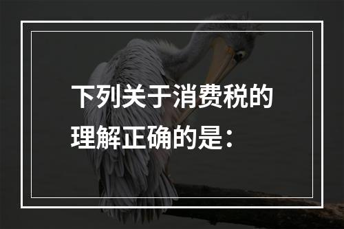 下列关于消费税的理解正确的是：