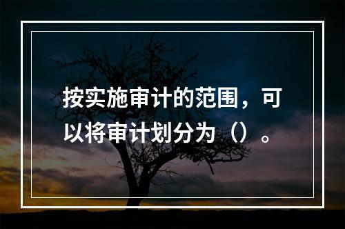 按实施审计的范围，可以将审计划分为（）。