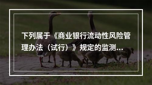 下列属于《商业银行流动性风险管理办法（试行）》规定的监测工具