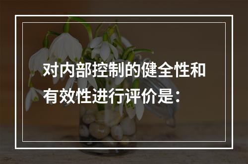 对内部控制的健全性和有效性进行评价是：