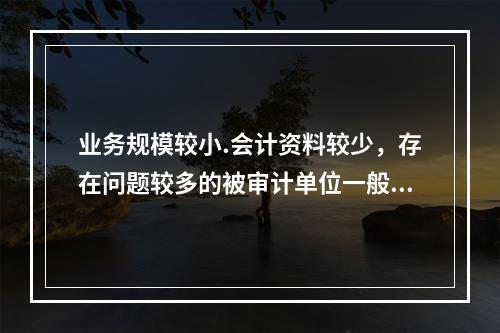 业务规模较小.会计资料较少，存在问题较多的被审计单位一般适用